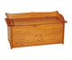 Shoe Storage Chest